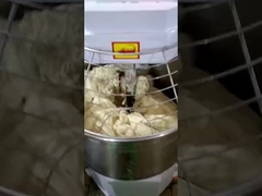 ZZ-120/80/60/40/240 mecânico de massa em espiral de duas velocidades