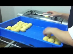 CG-38 torradeira elétrica